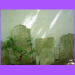 Tomb Stones.jpg